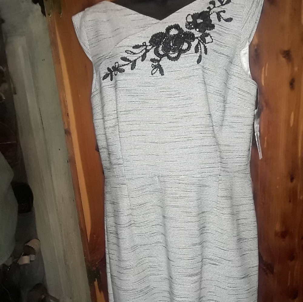 Preston and York Business Dress